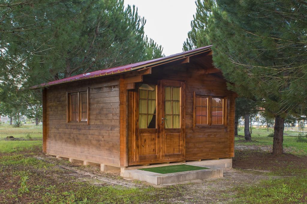 Monte Macario Alojamento Local Coruche Exterior photo