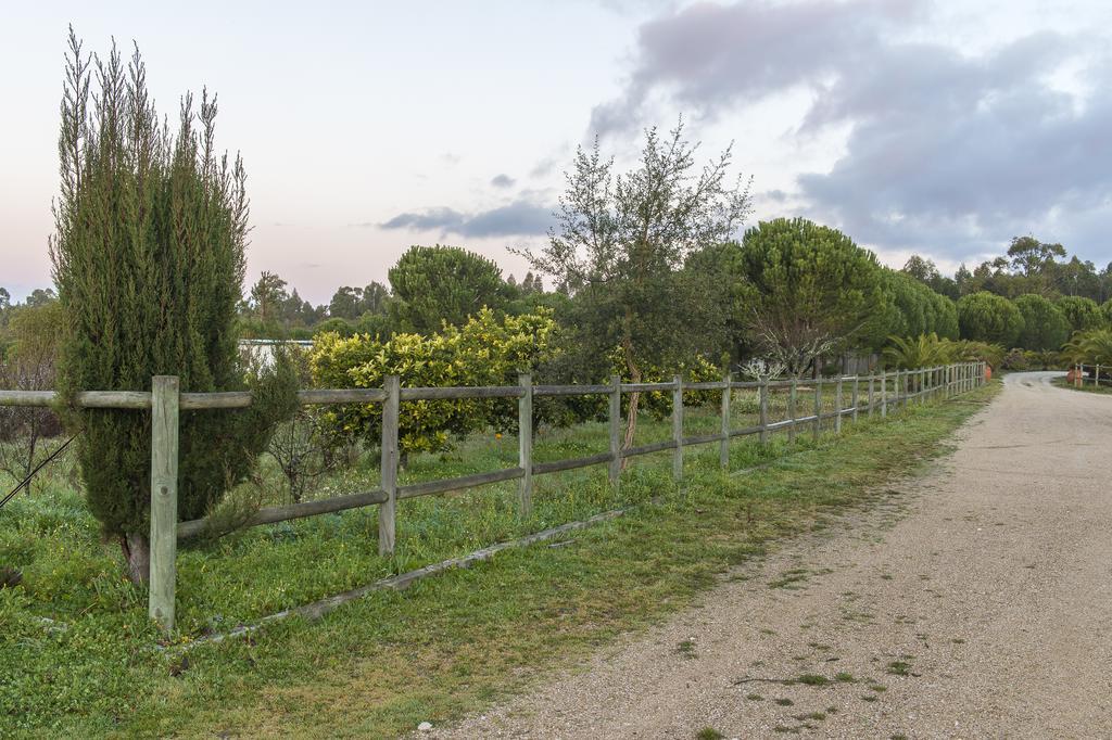 Monte Macario Alojamento Local Coruche Exterior photo