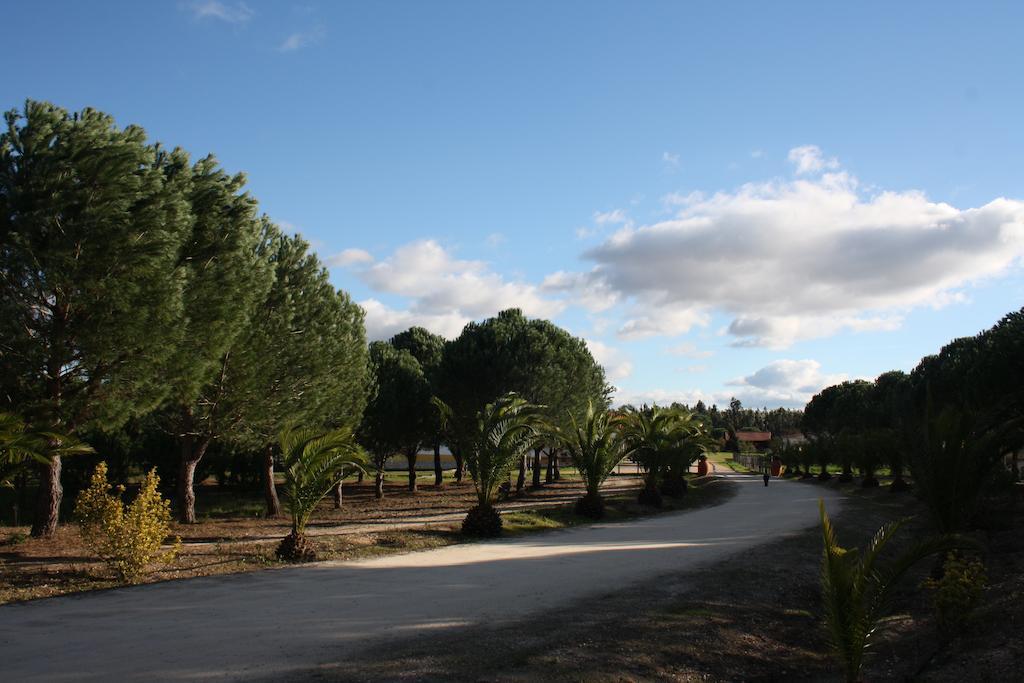 Monte Macario Alojamento Local Coruche Exterior photo